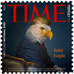 Bald Eagle - Gordon Coldwell