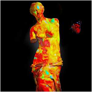Butterfly & Venus - Gordon Coldwell