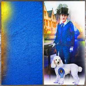 Tory Blue Boy - Gordon Coldwell