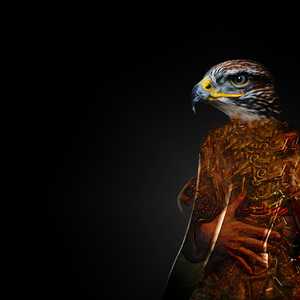 Fuselli's Demons - Gordon Coldwell