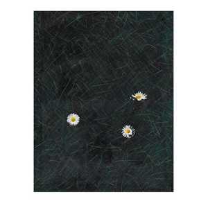 3 Daisies 3 Daisies - Gordon Coldwell