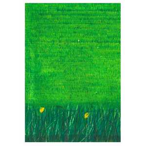 Grass - Gordon Coldwell