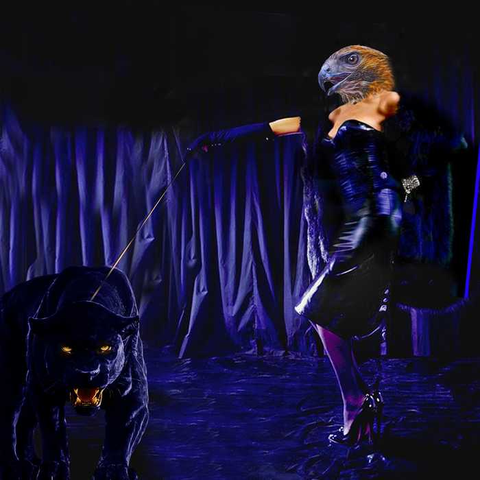 For Your Pleasure - Gordon Coldwell