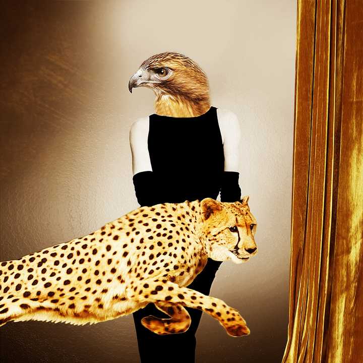 Luxe Leap - Gordon Coldwell