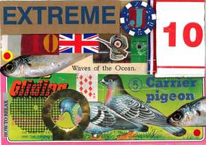 Target Caron Coldwell - Target