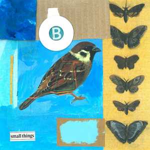 Small Things Caron Coldwell - Small Things