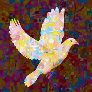 Pop Dove - Gordon Coldwell